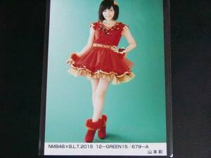 NMB48BLT2015 12月GREEN生写真 山本彩A1枚