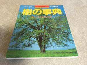 樹の事典―美しい森と自然の素材 (シリーズ・木の文化 1)