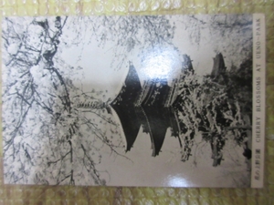 ◆新品　【花の上野公園】　ハガキ　ポストカード