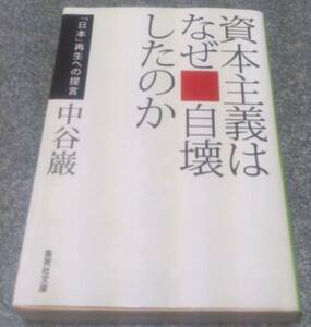 資本主義はなぜ自壊したのか (集英社文庫) 中谷巌　送料無料