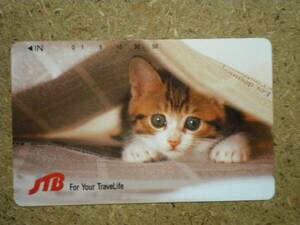 neko* cat JTB telephone card 