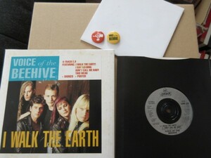 aa/限定'7inch/Voice of the Beehive/I Walk the Earth/ケース付