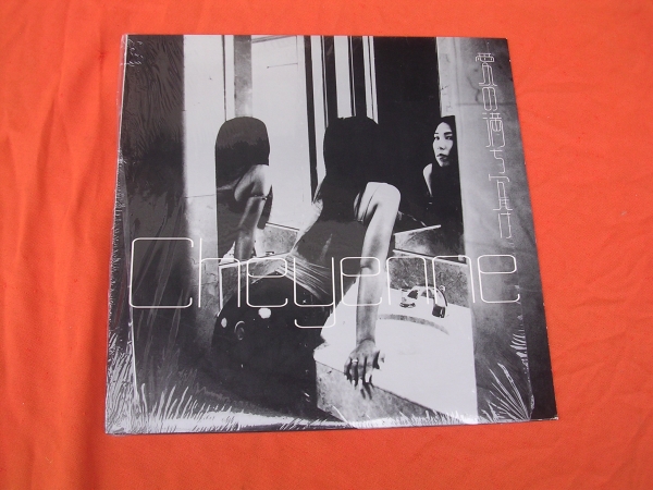 未使用 Cheyenne - NO Number 1 / レコード 2025年最新】Yahoo!オークション -cheyenne(レコード)の中古品