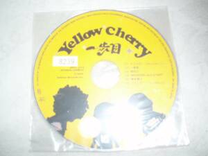 Yellow Cherry 一歩目