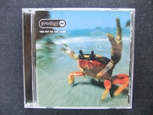 CD 洋楽　 PRODIGY THE FAT OF THE LAND　　