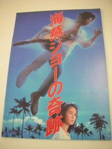 03805藤田敏八原田芳雄『海燕ジョーの奇跡』A4パンフ