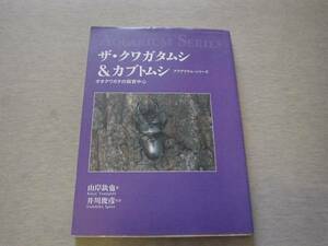 ★☆ザ・クワガタムシ&カブトムシ　　オオクワガタ☆★