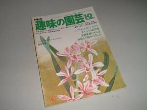 NHK趣味の園芸　昭和53年12月　