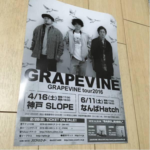 GRAPEVINE サイン入りポスター 20250728192734-724x1024.png