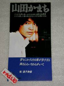 山田かまち 金子和宏 夢をこわすような事が多すぎる 即決SJ