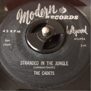 US Orig CADETS 7inch STRANDED IN THE JUNGLE RNB ロカビリー