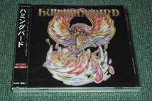 ★即決★未開封CD【HummingBird (ハミングバード)】山崎泰央■大本浩史_画像1