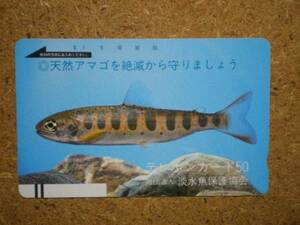 doub・330-1156 淡水魚保護協会 天然アマゴ 魚 テレカ