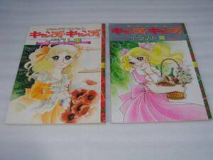  super-rare! candy * candy illustration collection 2 pcs. set used book@!