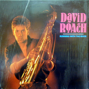 【Disco & Funk】LP David Roach / Runnning With The River