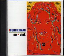 ★　新品/未聴/Mr PINK/FRONTIERMAN　★_画像1