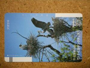 doub・110-2159 日本野鳥の会 ウトナイ湖 アオサギ テレカ