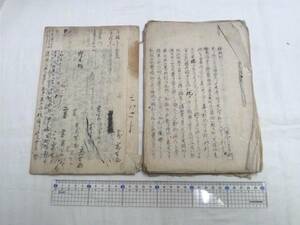 0011897 医書 写本 解凝剤 寄生物 2冊