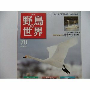 週刊　野鳥の世界 NO.70 