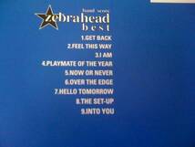 バンドスコア zebrahead best ゼブラヘッド 初版本_画像2