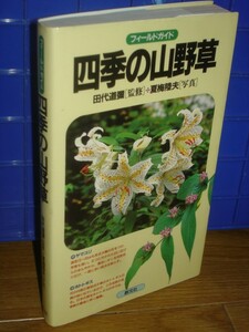 フィールドガイド■四季の山野草　田代道彌/夏梅陸夫/創元社