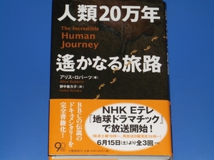 人類20万年 遙かなる旅路★アリス ロバーツ★野中 香方子★文藝春秋