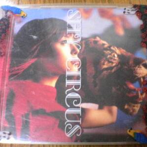 SHY CD CIRCUS 初回盤 即決