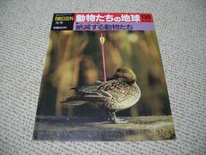 動物たちの地球139★地球と人間の歴史7　絶滅する動物たち★朝日★ゆうパケット