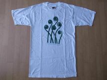 90's Karl Blossfeldt FOTOFOLIO American Maidenhair Fern 植物 フォト Tシャツ S ホワイト カール ブロスフェルト 写真 芸術 ART 美術館_画像1