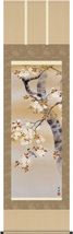 近藤玄洋 　桜花に小鳥　掛軸　掛け軸　新品_画像1
