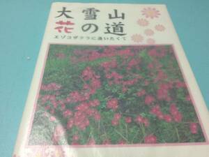 送料無料大雪山 花の道―エゾコザクラに逢いたくて