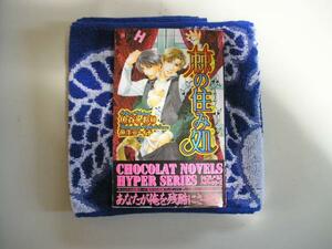 [CHOCOLAT NOVELS HYPER].. .. place / fish . book mark ill. raw ko-ichi