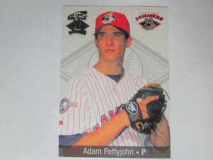 即決　限定 ADAM PETTYJOHN RC MINOR LEAGUE TEAM BEST