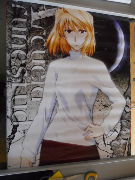 2025年最新】Yahoo!オークション -月姫(ポスター)の中古品・新品
