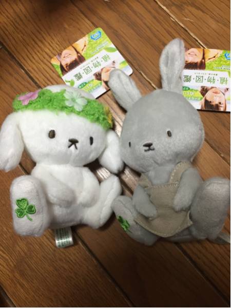 植物図鑑 ぬいぐるみ セット ぬいぐるみ 全2種セット ぬいぐるみBIG 「植物図鑑」 | おもちゃ
