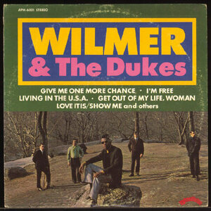 ◆レコード(LP)◆WILMER & The Dukes [Self Title]◆