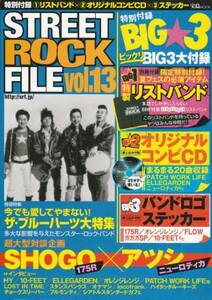 [ secondhand book ]STREET ROCK FILE vol.15 * The * Blue Hearts 175R @ appendix attaching 