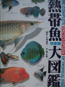 図鑑★熱帯魚決定版大図鑑 １９９５年 カラー版 小林道信　 森文俊　世界文化社