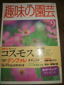 ●NHK 趣味の園芸 1998年9月 コスモス デンファレ チランジア D