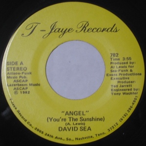 David Sea - Angel - T-Jaya ■ sweet modern soul 45 試聴