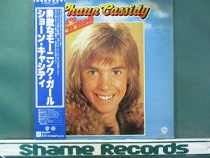 Shaun Cassidy - That's Rock 'n' Roll // Hey There Lonely- LP