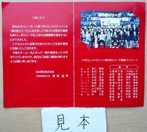 Art hand Auction Instant decision ★ Extremely rare ★ Not for sale / NEC Red Rockets Women's Volleyball Takahashi Miyuki Kashihara Megumi telephone card photo, Phone card, Sports, others