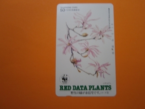 テレカ●●　ＲＥＤ　ＤＡＴＥ　ＰＬＡＮＴＳ　シデコブシ