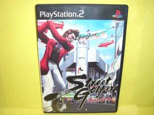 ☆中古☆ PS2 【 ストリートゴルファー 】【即決】