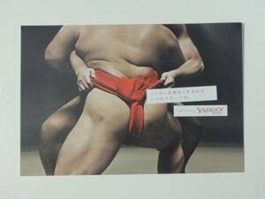 ■非売品未使用 YAHOO!JAPANポストカード-スポーツ/相撲