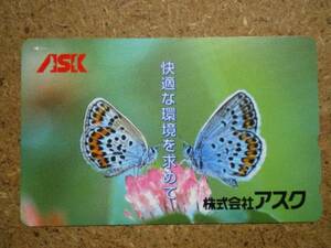 tt1-155*askchou butterfly telephone card 