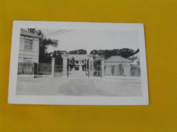 戦前絵葉書。新潟縣廳。新潟県庁。明治～大正期。