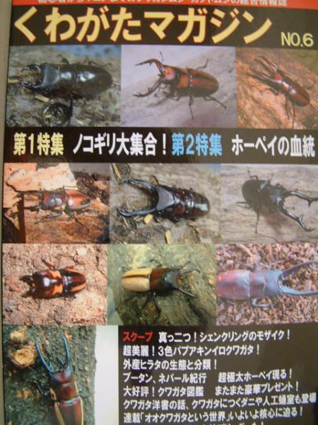 くわがたマガジン 28冊 Yahoo!オークション - 即決 くわがたマガジン NO.28 特集