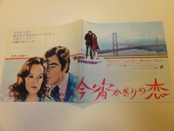 女狐　サンディ・デニス　映画館販促用B2ポスター　未使用 2025年最新】Yahoo!オークション -サンディ(印刷物)の中古品