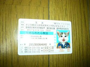 猫　なめ猫　免許証　又吉　スタジアムジャンバー　これからナンパしに行く　横浜風　彼女欲しいな　くじら県カツオ市　口を開けてる未使用